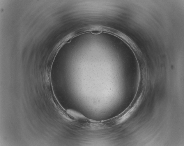 X0000065970857200603101355