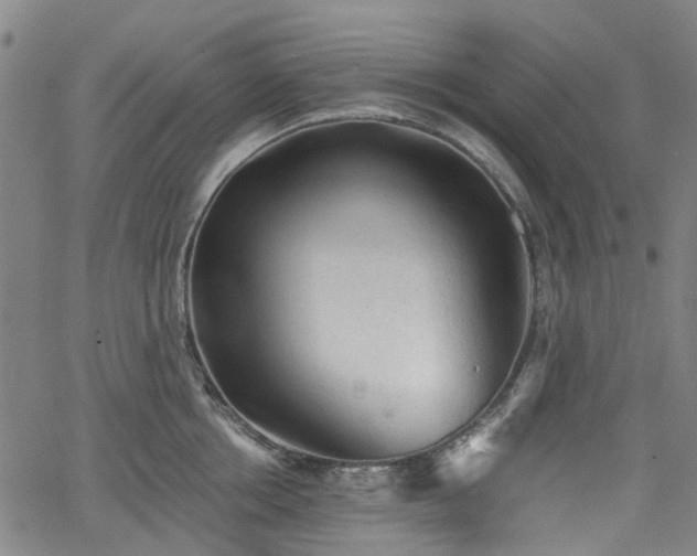 X0000065970858200603101355