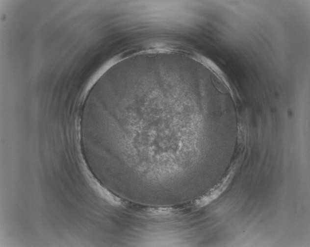 X0000065970859200603101355