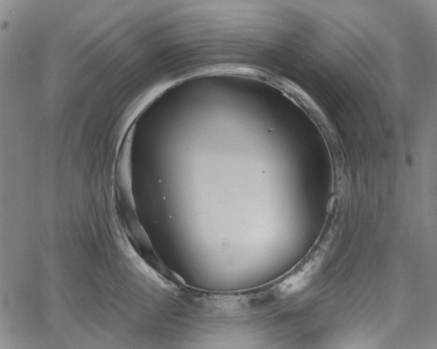 X0000065970860200603101355