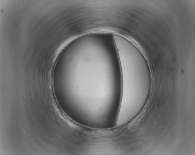 X0000065970862200603101355