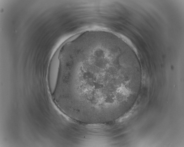 X0000065970863200603101355