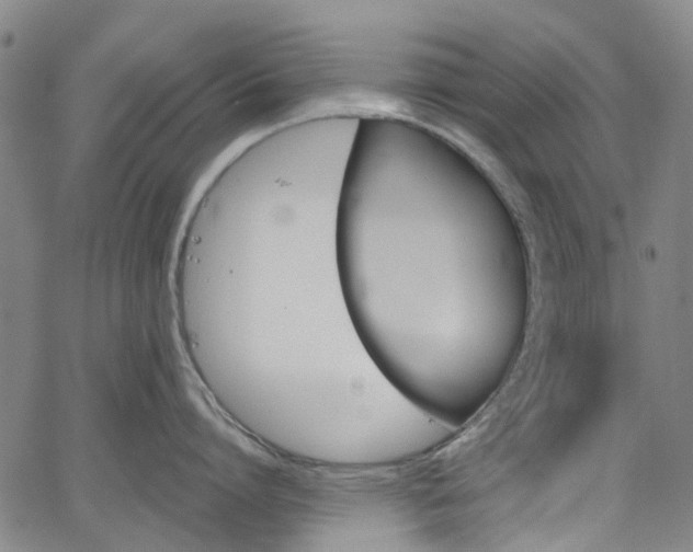 X0000065970864200603101355