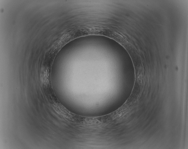 X0000065970866200603101355