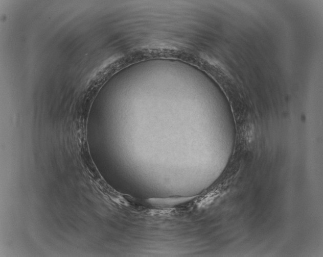 X0000065970870200603101355