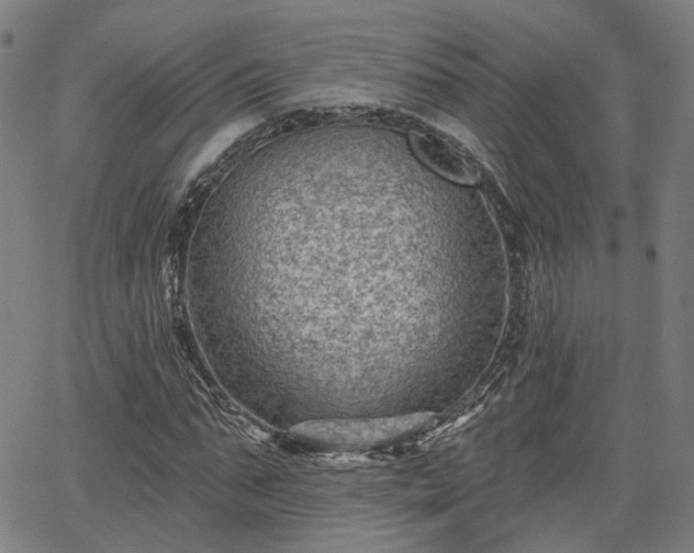 X0000065970871200603101355