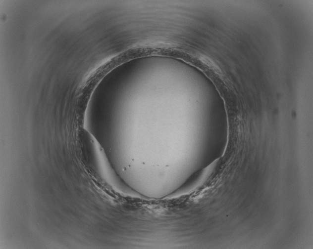 X0000065970872200603101355