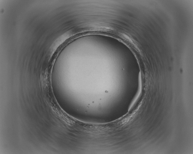 X0000065970875200603101354