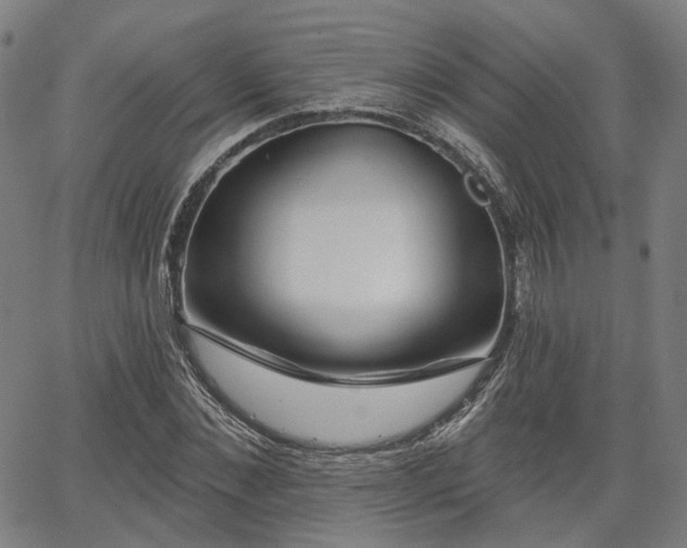 X0000065970876200603101354