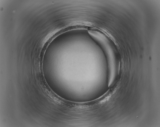 X0000065970877200603101354