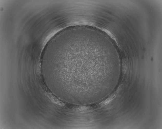 X0000065970879200603101354