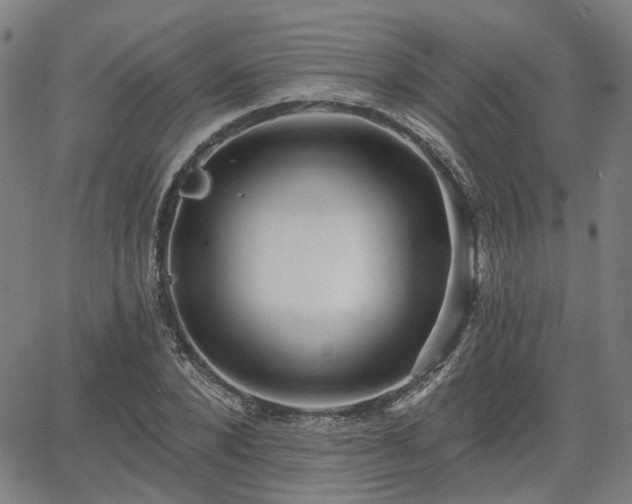 X0000065970880200603101354