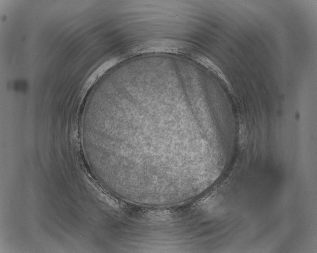 X0000065970882200603101354