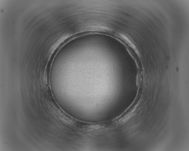 X0000065970883200603101354