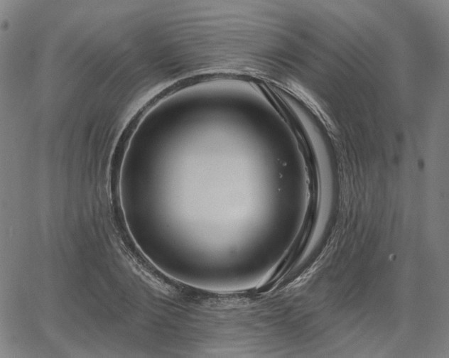 X0000065970884200603101354