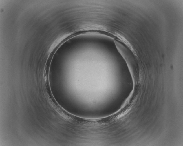 X0000065970885200603101354