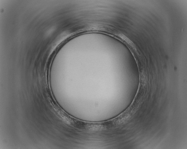 X0000065970886200603101354