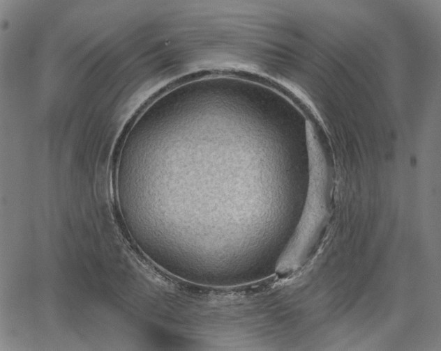 X0000065970887200603101354