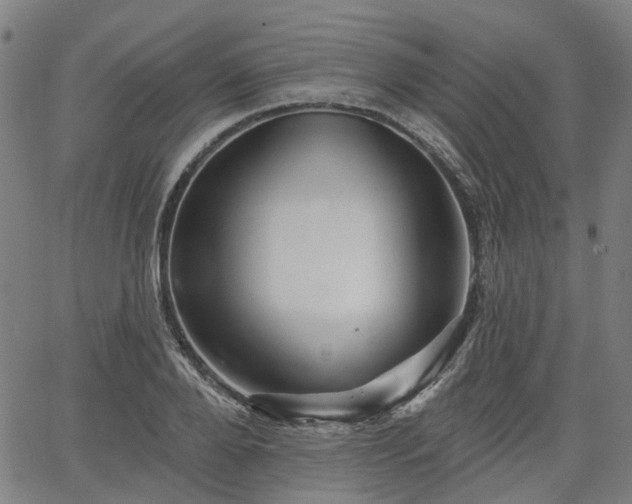 X0000065970888200603101354