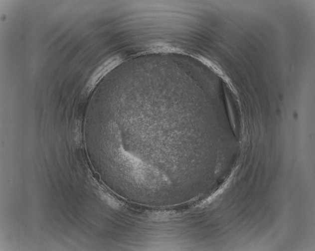 X0000065970889200603101354