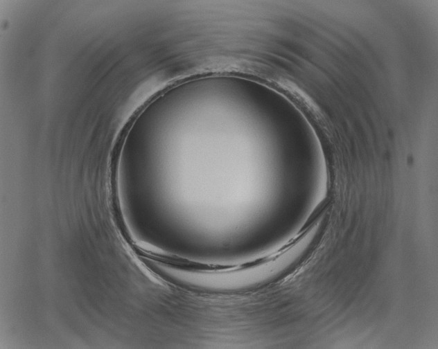 X0000065970894200603101354