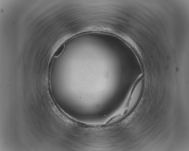 X0000065970896200603101354