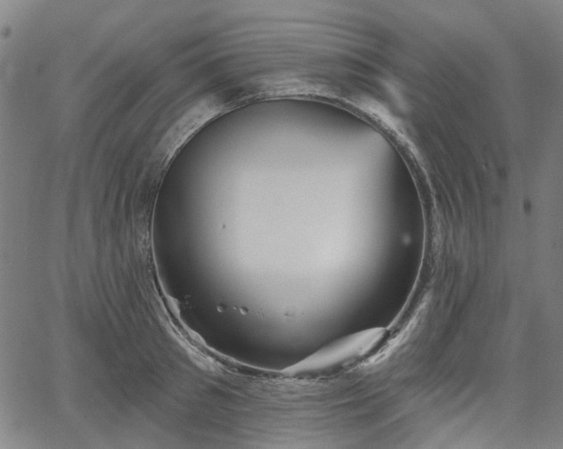 X0000065970897200603101354