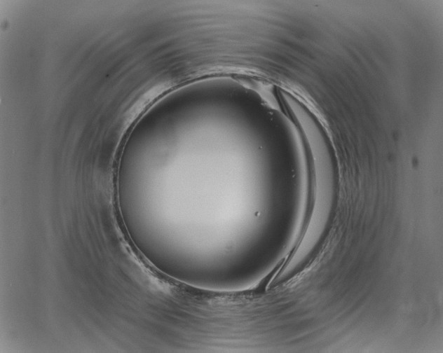 X0000065970898200603101354