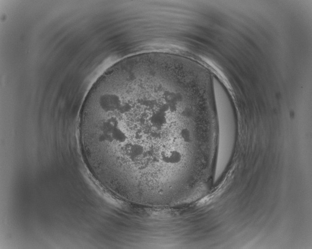 X0000065970899200603101354