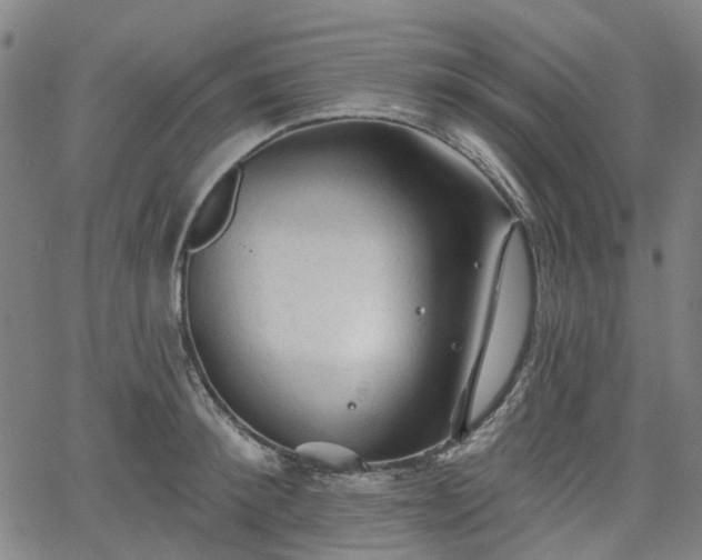 X0000065970900200603101354