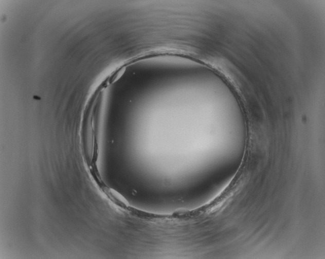 X0000065970902200603101354