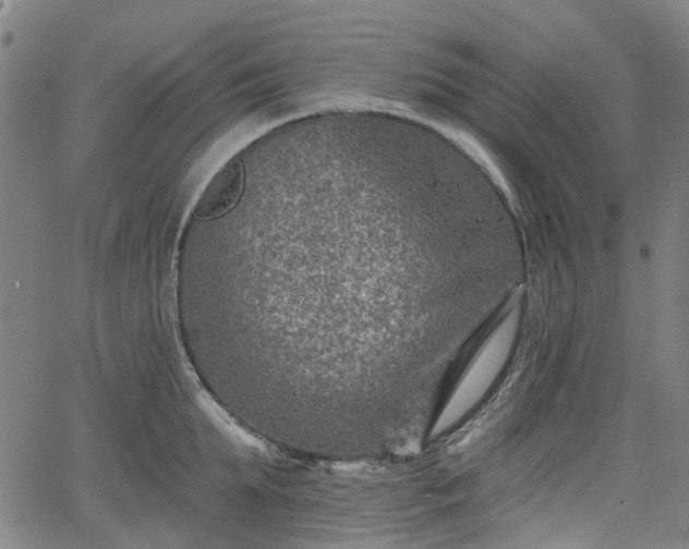 X0000065970903200603101354