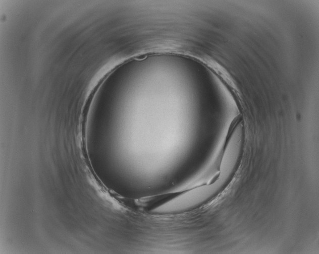 X0000065970904200603101354