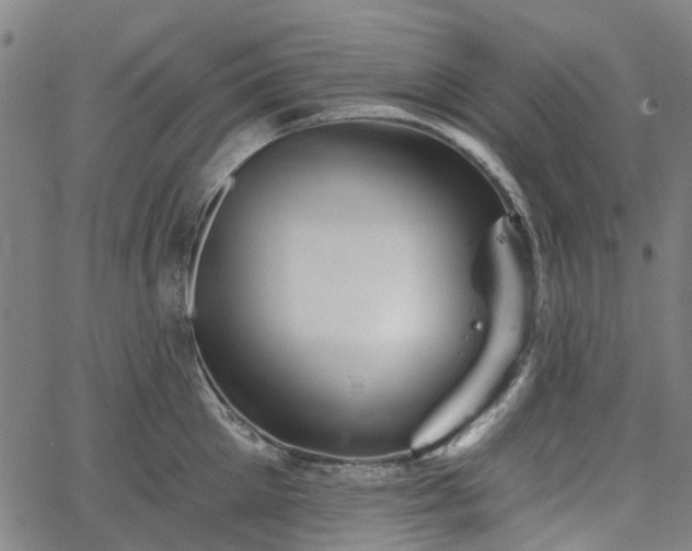 X0000065970905200603101354