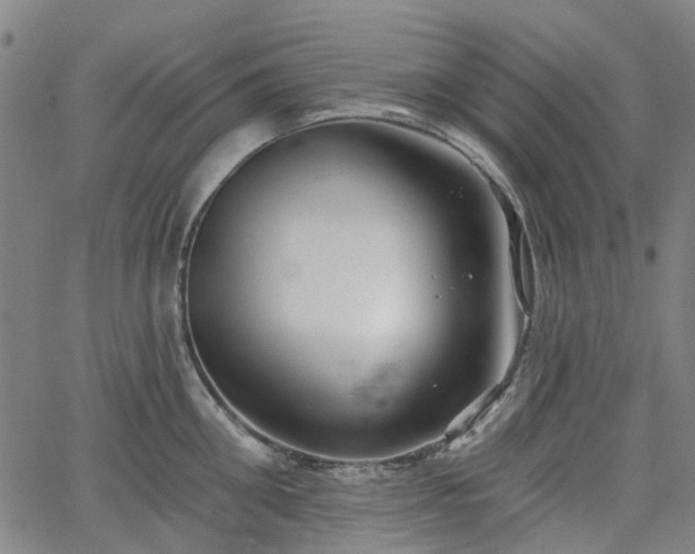 X0000065970906200603101354