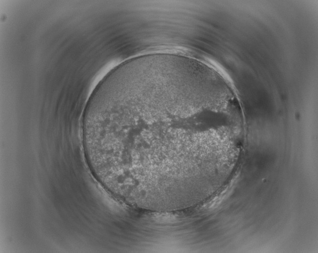 X0000065970907200603101354