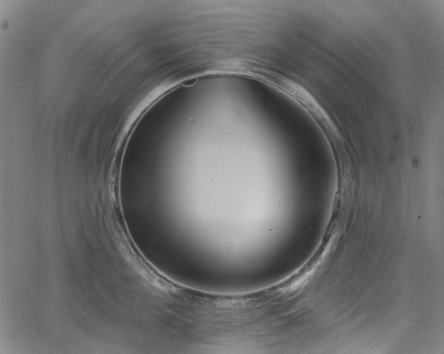 X0000065970908200603101354