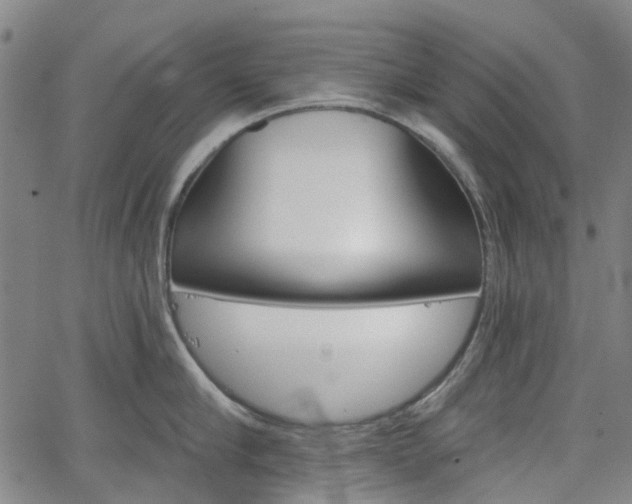 X0000065970910200603101354