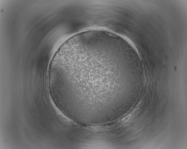 X0000065970911200603101354