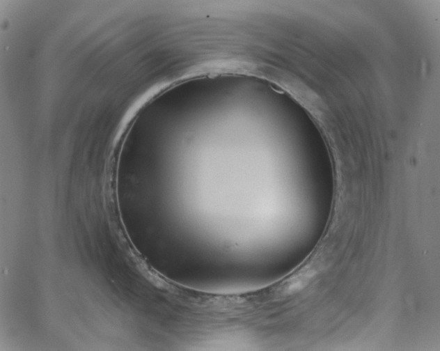 X0000065970912200603101354