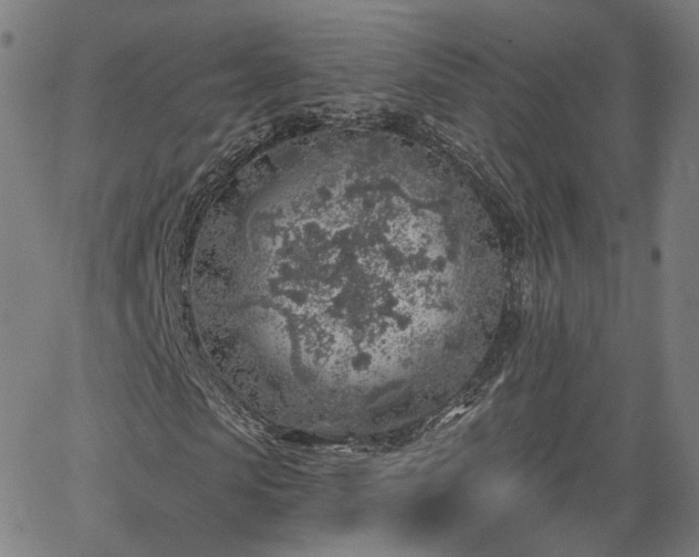 X0000065970913200603101353