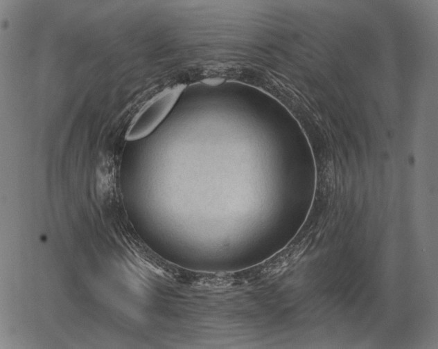 X0000065970914200603101353