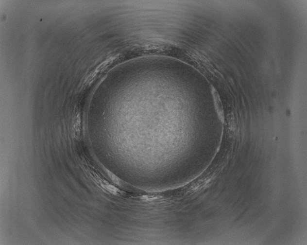 X0000065970916200603101353