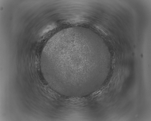 X0000065970917200603101353