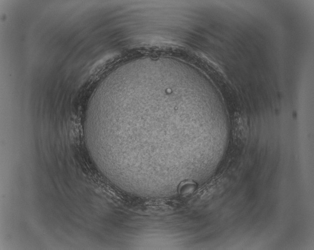 X0000065970918200603101353