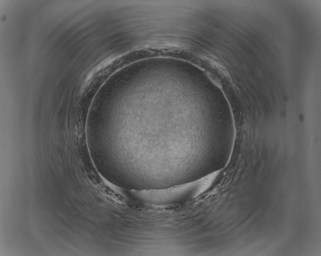 X0000065970920200603101353