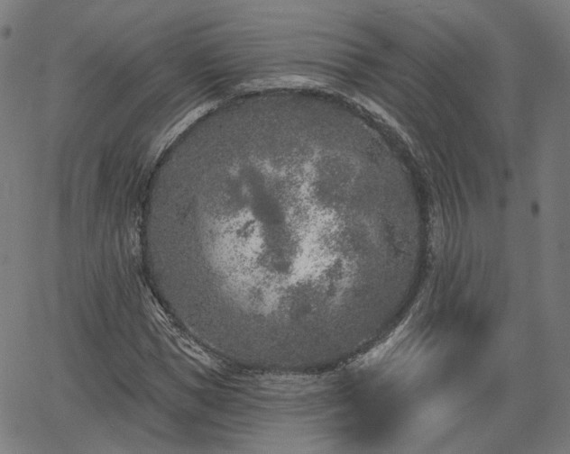 X0000065970921200603101353