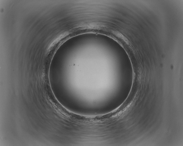 X0000065970922200603101353