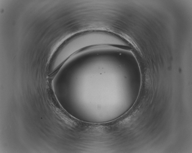 X0000065970926200603101353