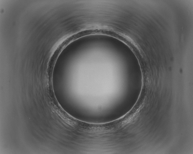 X0000065970927200603101353